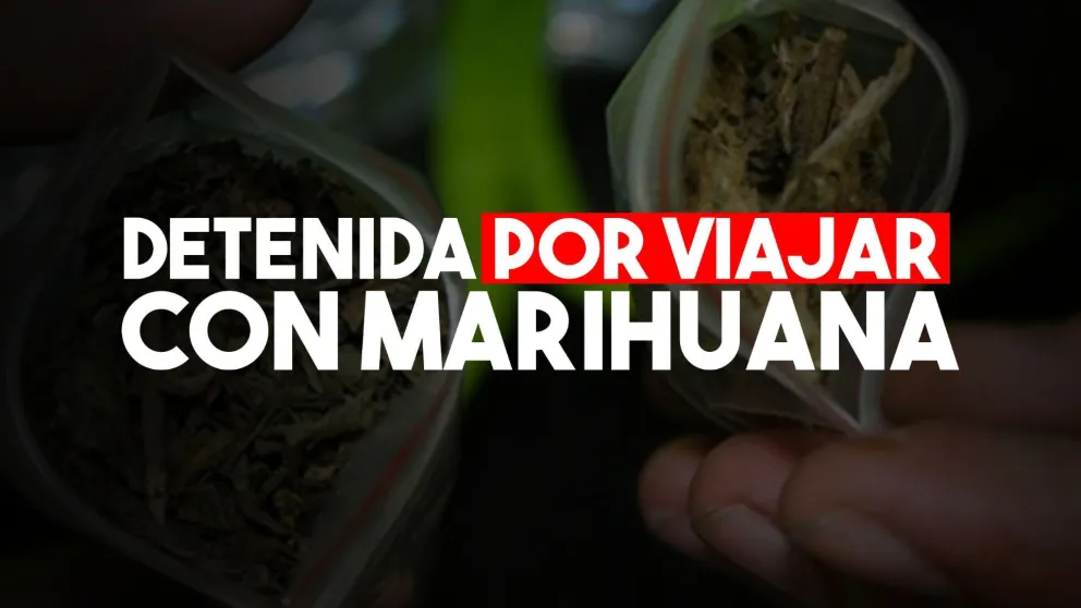 Detuvieron a una mujer que ingresó marihuana desde Mendoza