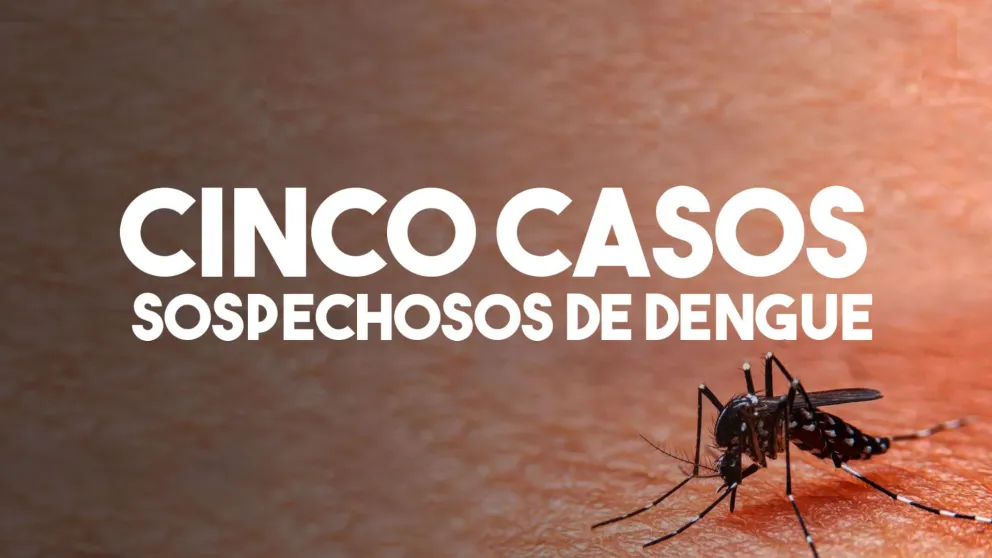 Ya son cinco los casos sospechosos de dengue