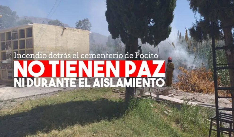 Bomberos debió sofocar un incendio de cañaverales en Pocito