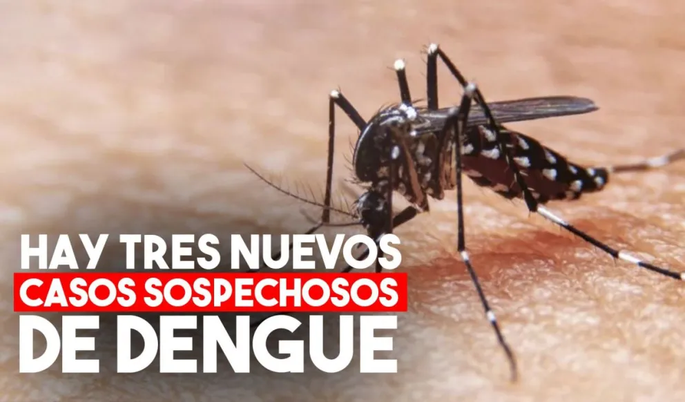 Aparecieron tres casos sospechosos de dengue en la provincia