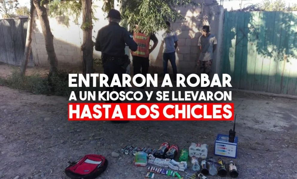 Dos detenidos por robar un maxi kiosco en Trinidad