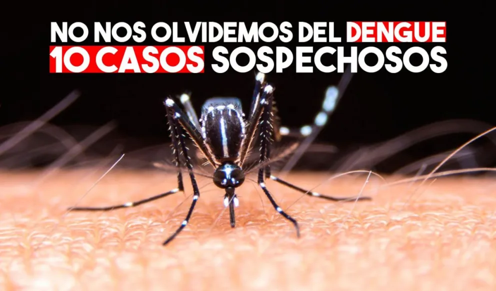 Dengue: hay 10 casos en estudio
