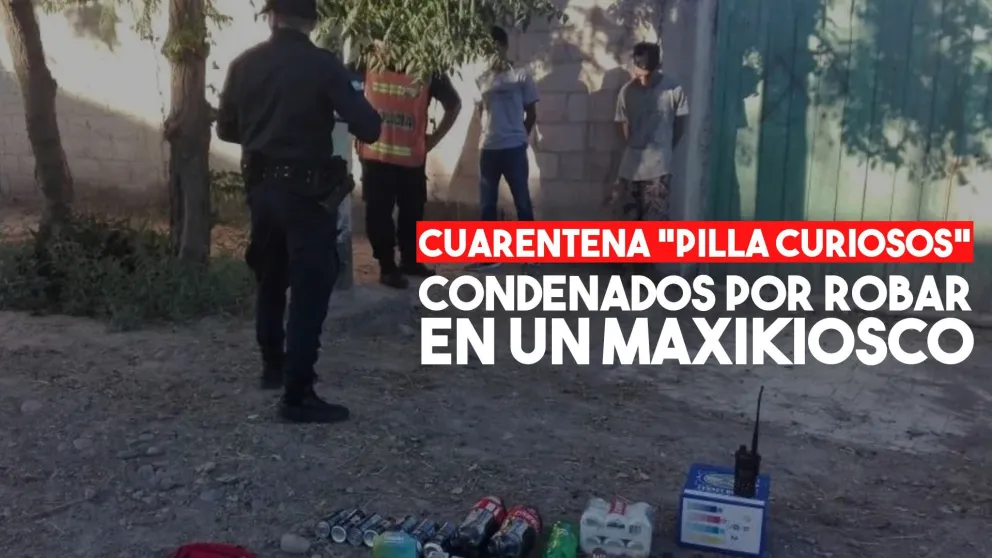 Fueron condenados por robar en un maxikiosco en plena cuarentena