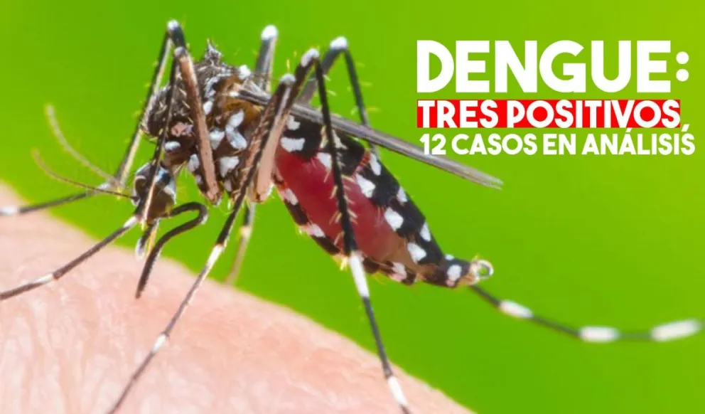 Dengue: se sumó un nuevo caso positivo y ya son tres en total