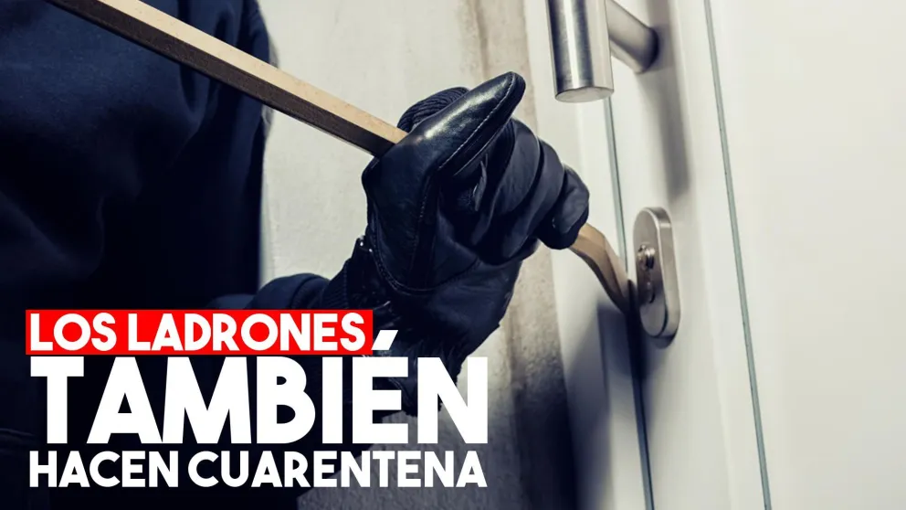 Hubo una disminución de los delitos gracias a la cuarentena