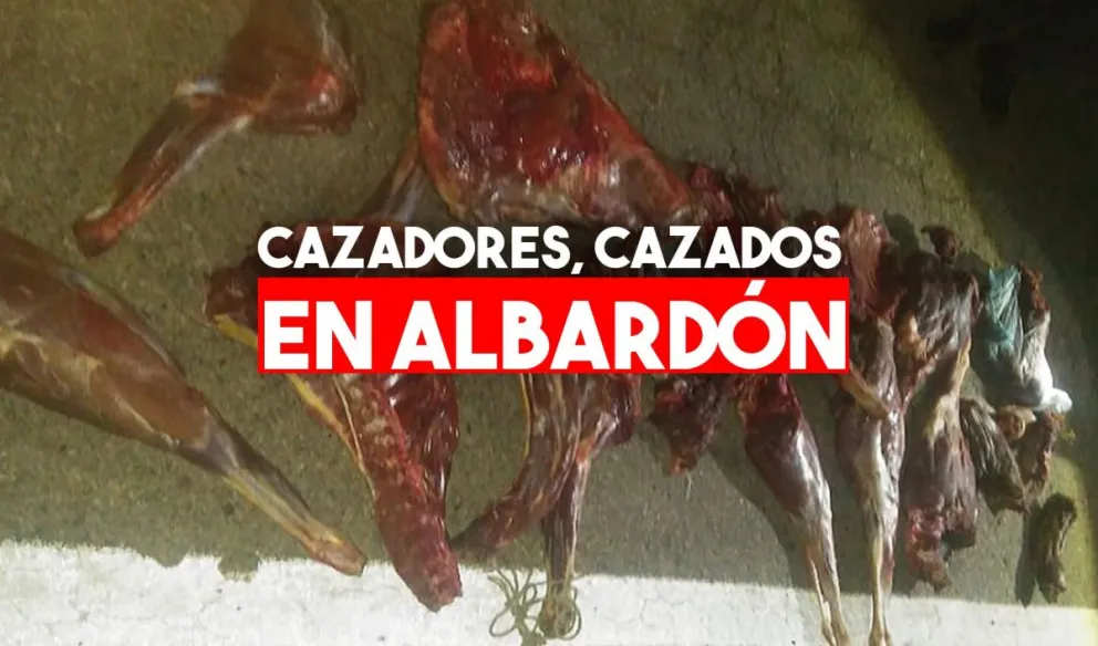 Rompieron el aislamiento obligatorio, cazaron guanacos y terminaron detenidos