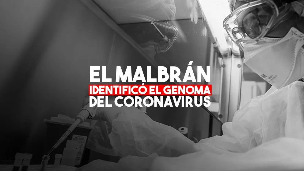 El Instituto Malbrán identificó la circulación de tres cepas diferentes del Covid-19 en Argentina