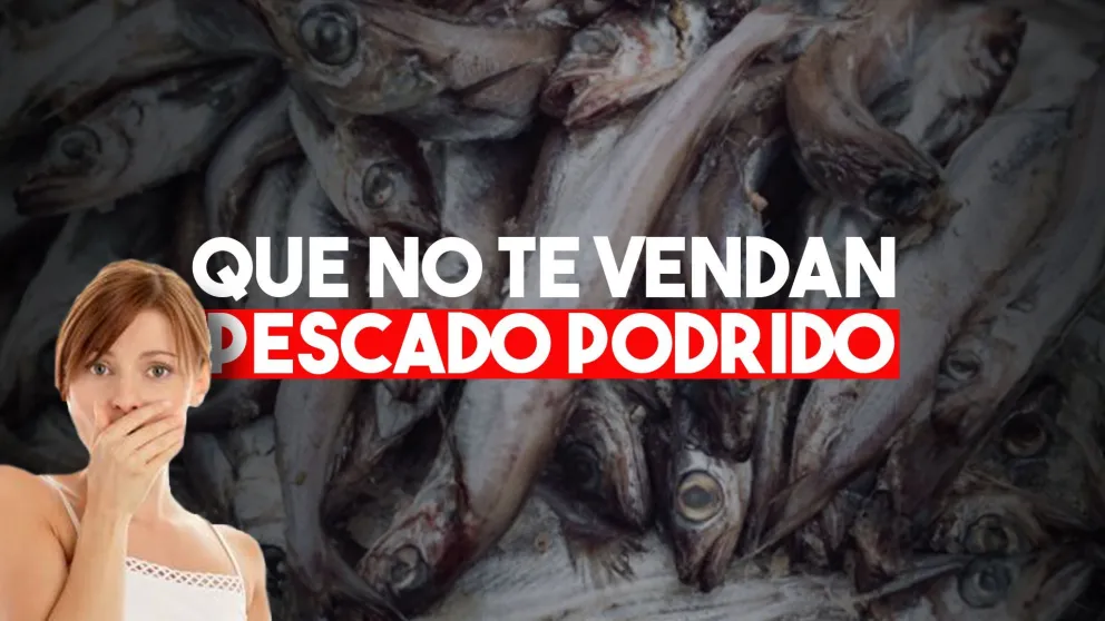 ¿Cómo reconocer un pescado no apto para consumo?