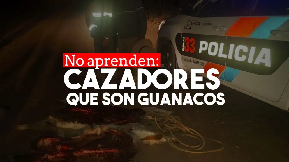 Los cazadores atacaron otra vez: faenaron guanacos en Calingasta