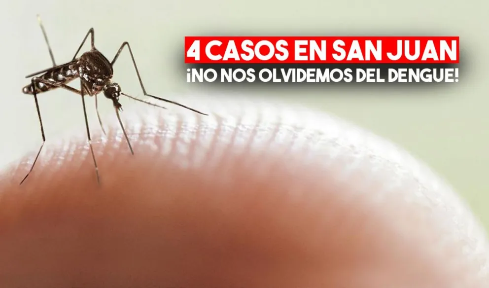 Dengue en San Juan: dos casos nuevos confirmados y son cuatro en total