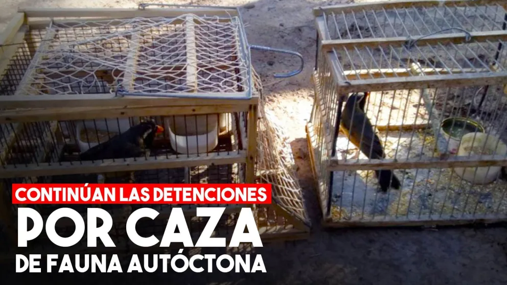 Continúan las detenciones por caza furtiva