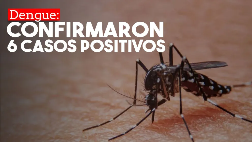 Confirmaron 6 casos positivos de dengue en San Juan