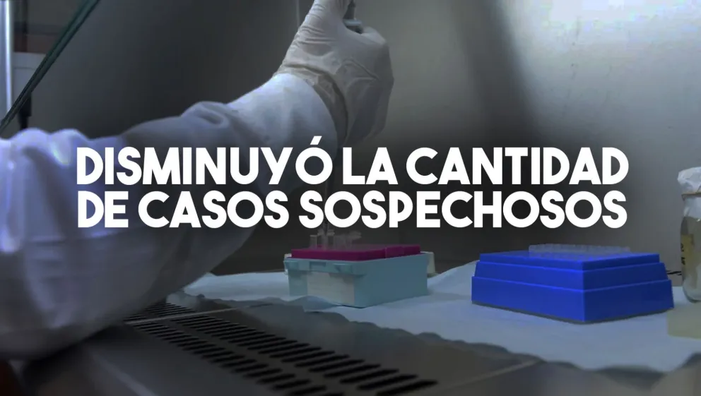Quedan 10 casos sospechosos y 33 test dieron negativo