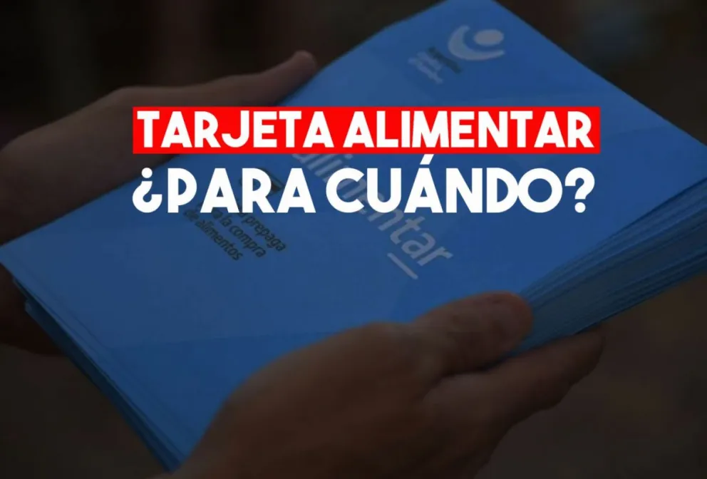Estiman que a principios de mayo depositarán los montos de la Tarjeta Alimentar