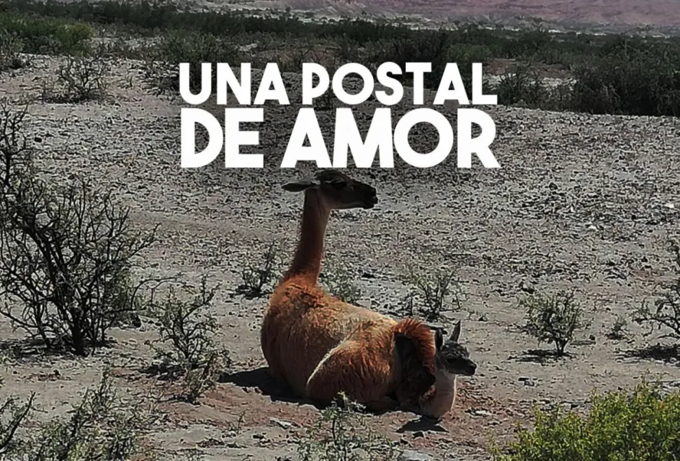 La naturaleza regaló una postal maravillosa en el Parque Ischigualasto