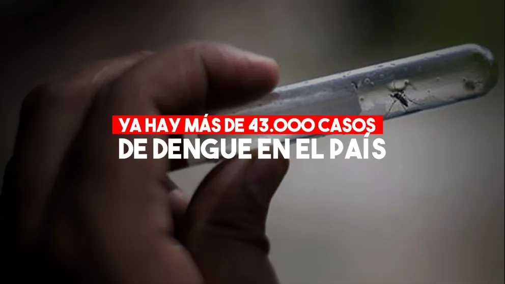 Argentina superó los 43.000 casos de dengue