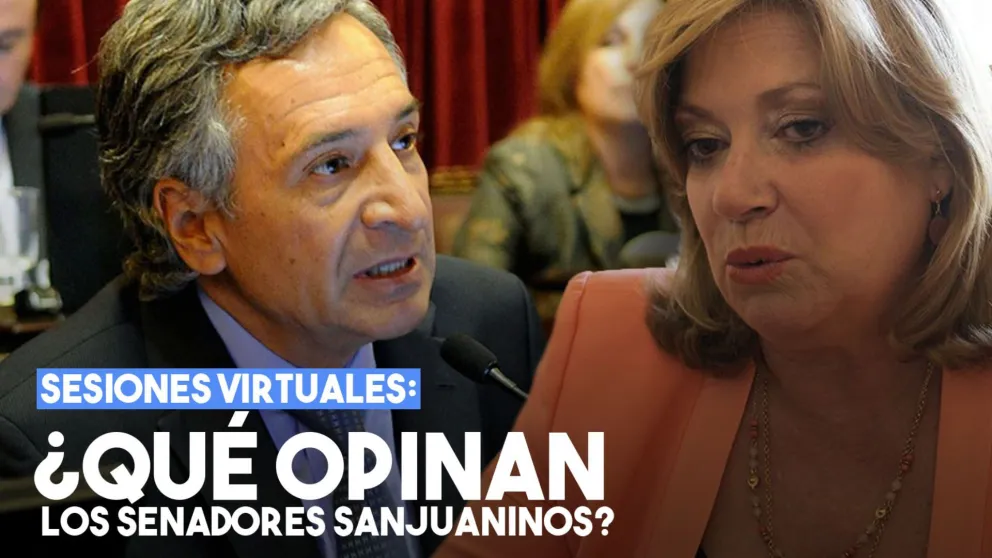 ¿Qué opinaron los senadores sanjuaninos sobre las sesiones virtuales?