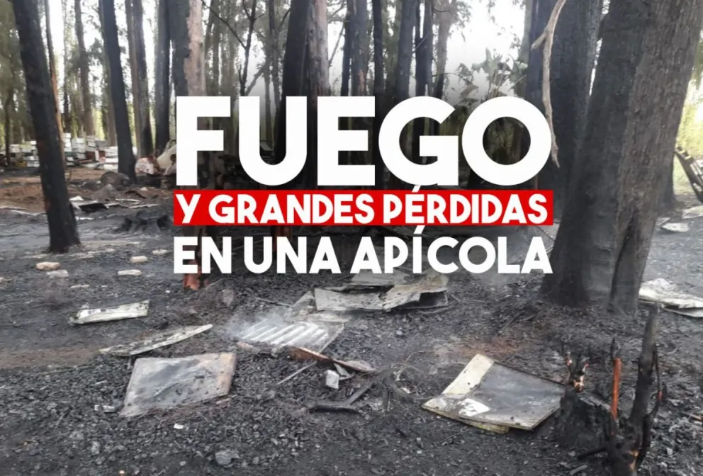 Un incendio provocó importantes pérdidas en una apícola