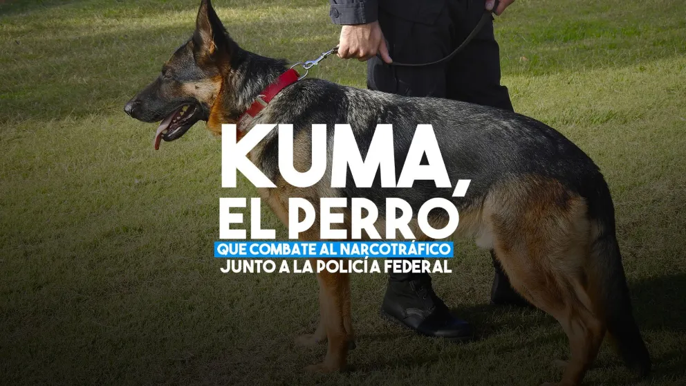 Kuma, el can que combate al narcotráfico junto a la Policía Federal