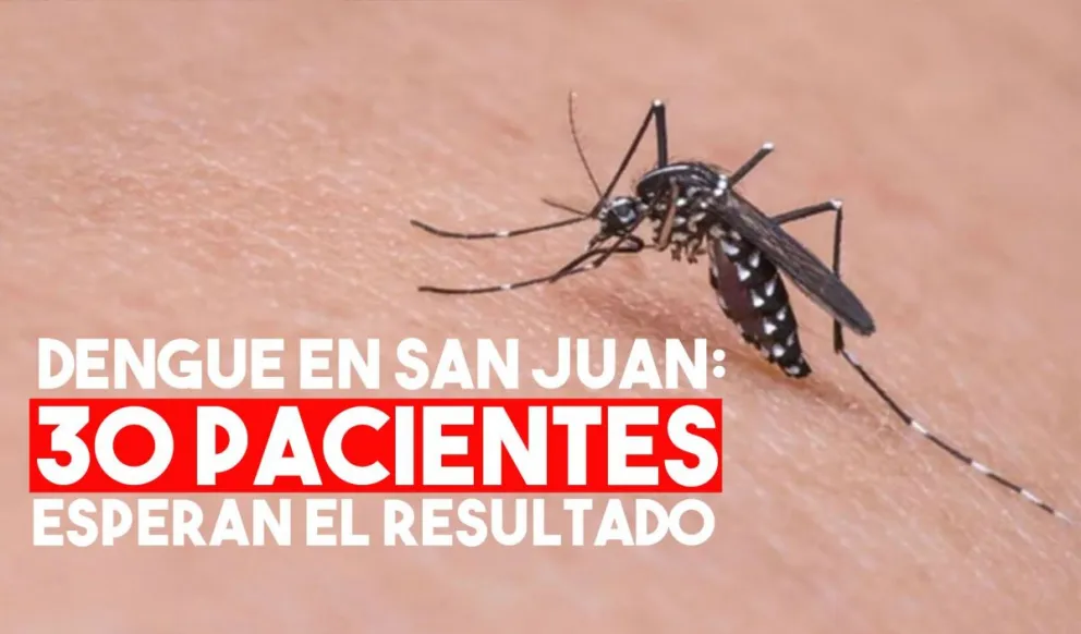 Hay 30 casos sospechosos de dengue en la provincia