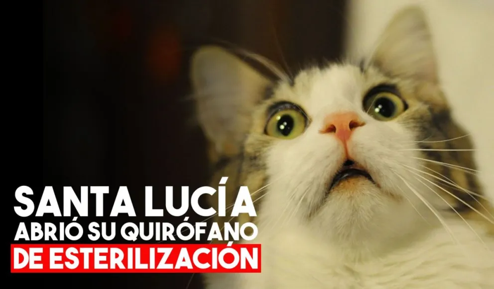 Santa Lucía abrió nuevamente su quirófano municipal