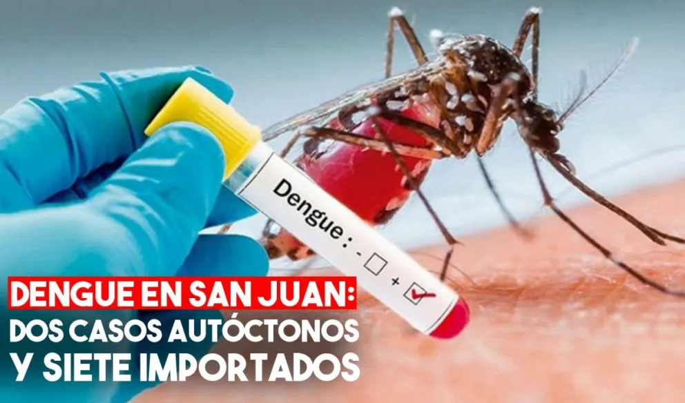 Confirman dos casos de dengue autóctonos en San juan