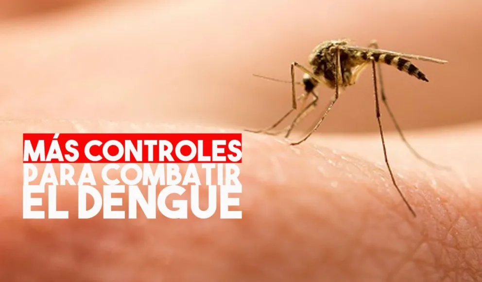 Se intensifican los controles por el dengue