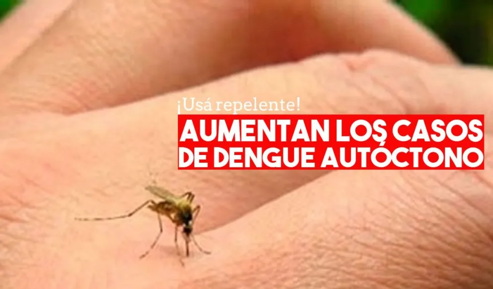 Aumentan los casos autóctonos de dengue en San Juan