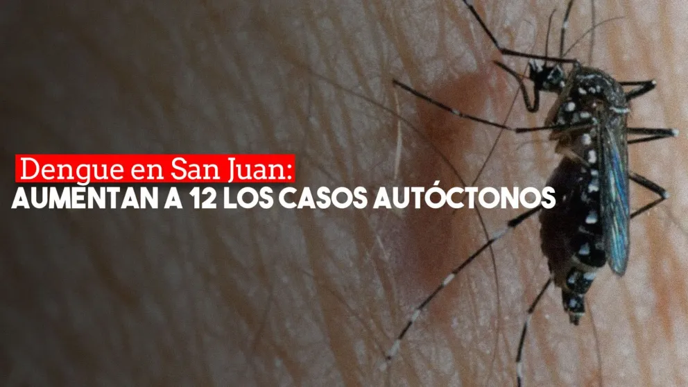 Aumentan a 12 los casos confirmados de dengue