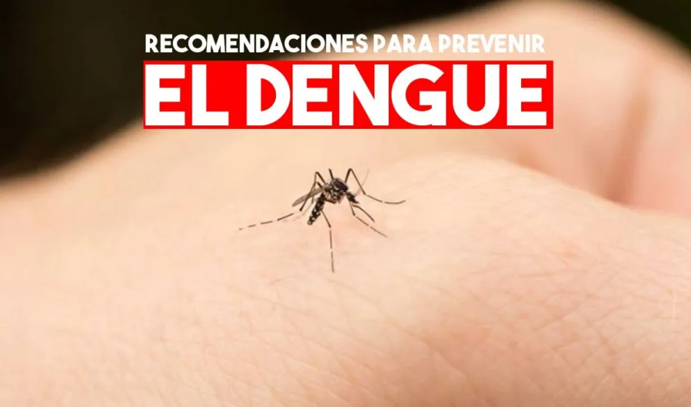 Dengue: mirá como fortalecer las medidas preventivas