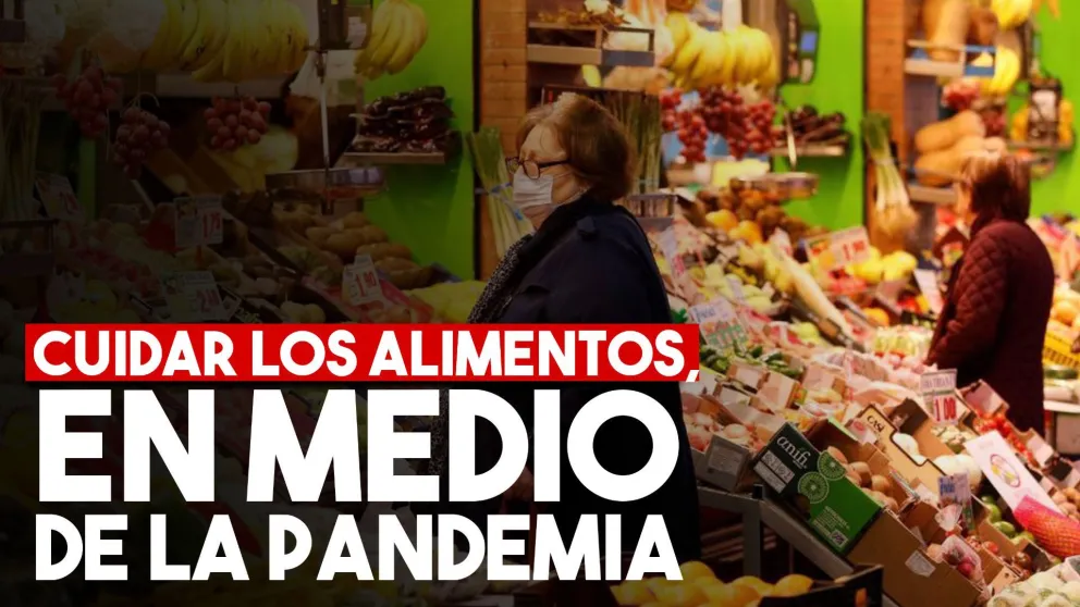 La OMS explicó cómo manipular, cuidar y tratar los alimentos