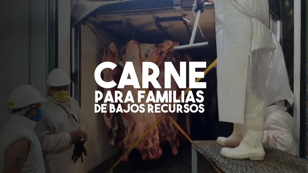Entregarán carne decomisada a familias de bajos recursos