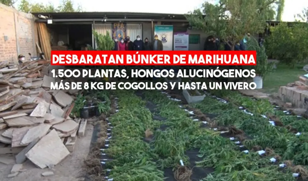 Las fotos del gran operativo antidroga en San Juan