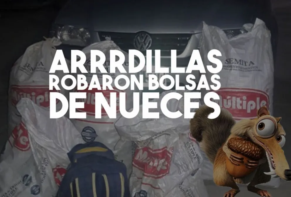 Entraron a una finca para robar nueces
