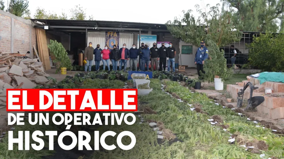 El detalle de lo incautado en el operativo “Gaucho Verde”