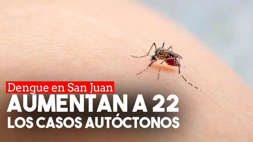 Confirmaron 22 casos autóctonos de dengue en la provincia