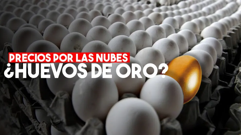 Subió el consumo y también el precio de los huevos