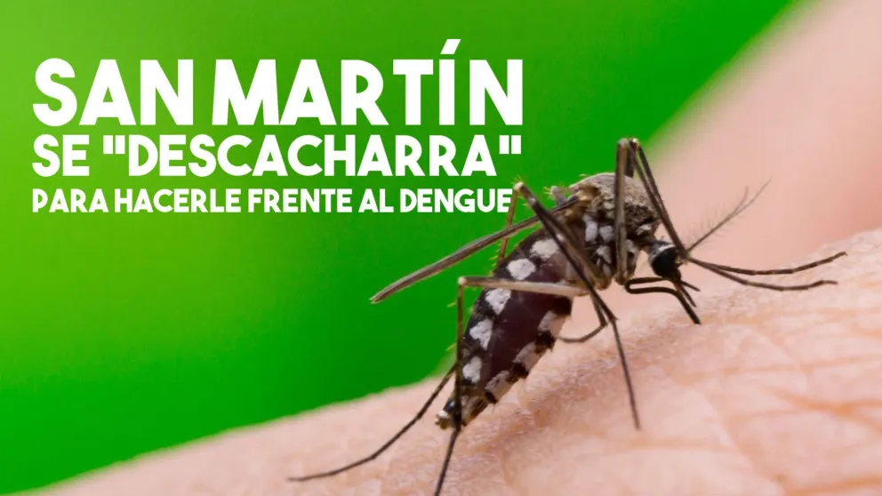 San Martín le hace frente al dengue con un novedoso sistema casa por casa