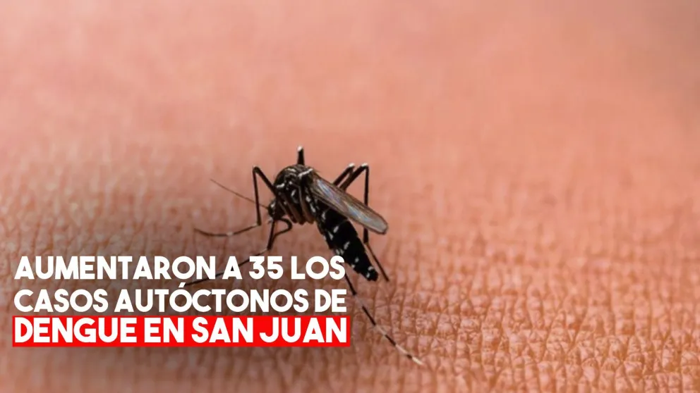 Ya son 35 los casos autóctonos de dengue