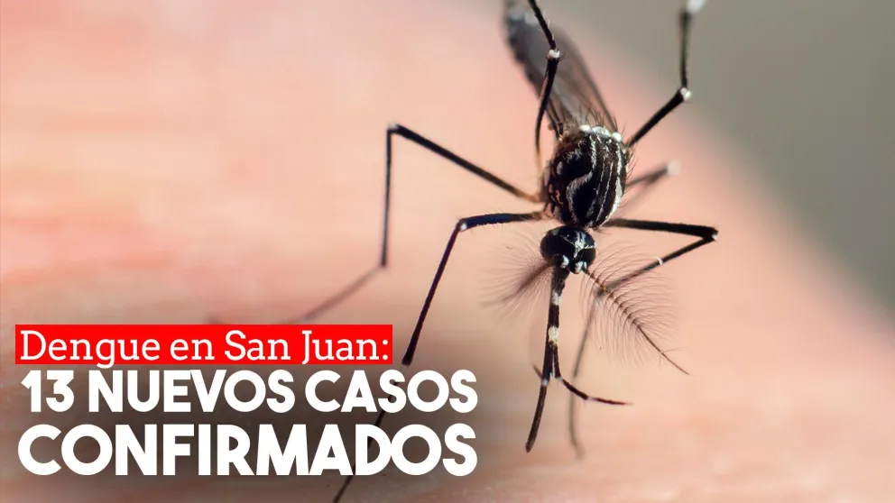 Confirmaron 13 nuevos casos de dengue autóctono