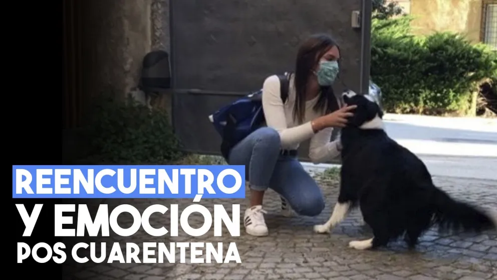 Así fue el reencuentro de una perra con su dueña después de dos meses de cuarentena