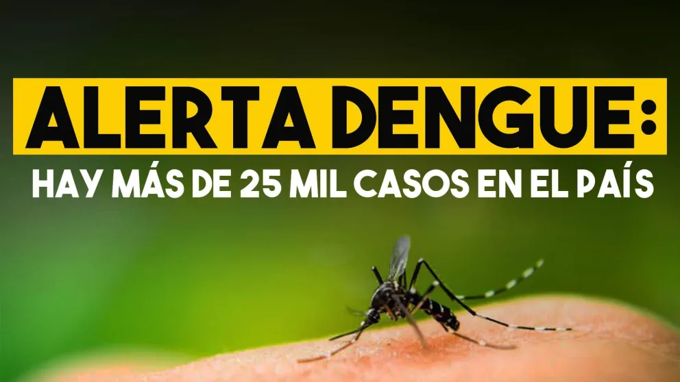 Dengue: ya hay más de 25 mil casos en Argentina y la mayoría son autóctonos