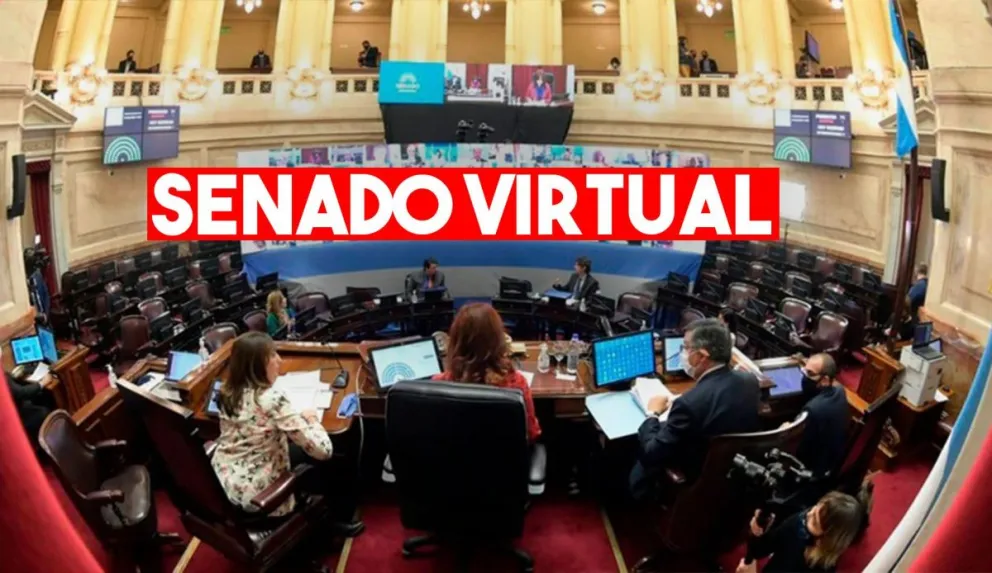 Histórico: el Senado comenzó a sesionar virtualmente