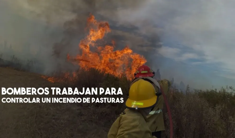 Controlaron un incendio de pasturas en Pocito