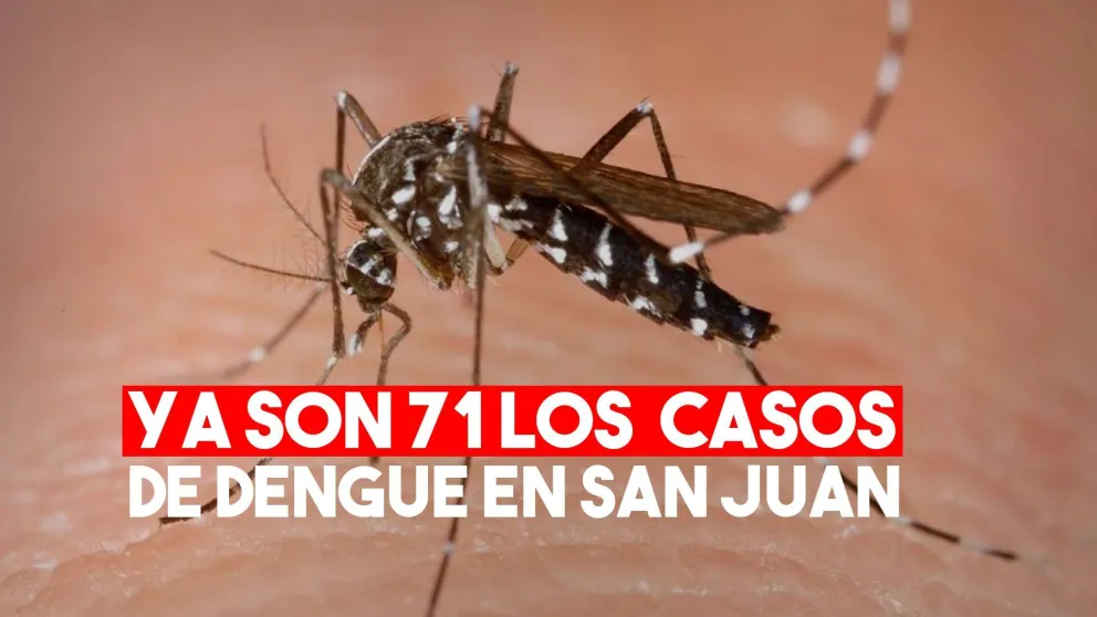 Ascienden a 71 los casos de dengue