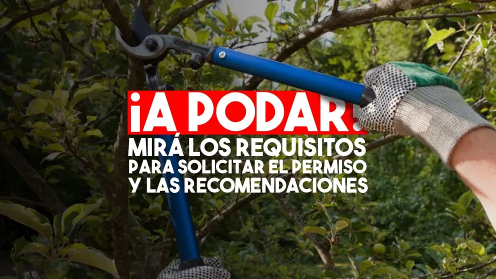 Comienza el periodo habilitado para la poda