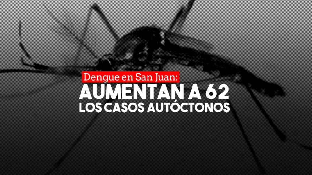 Aumentaron a 62 los casos autóctonos de dengue en la provincia