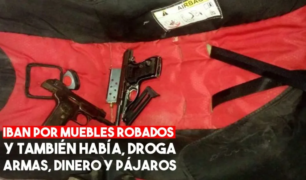 Allanaron una vivienda y encontraron droga, armas y hasta pájaros para ser vendidos