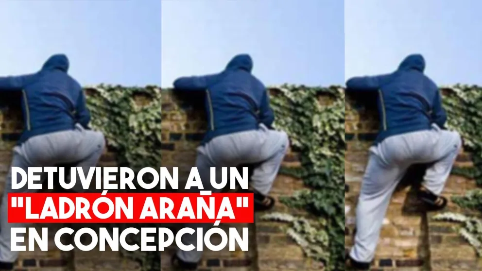 Un ladrón escalador fue detenido luego de dos robos consecutivos