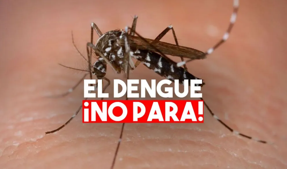 Confirman 89 casos de dengue en San Juan